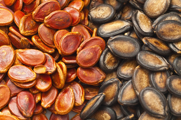 Black and red melon seeds for Chinese New Year