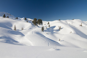 Fresh powder snow landscape and footprints, unspoiled nature