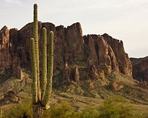 Arizona Landscape