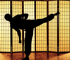 kung fu kick