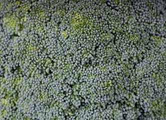 Background of fresh broccoli