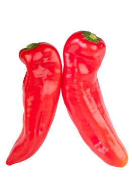 Two Palermo sweet peppers isolated on white