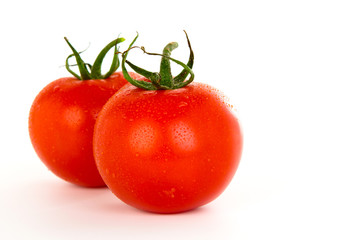 Tomatoes