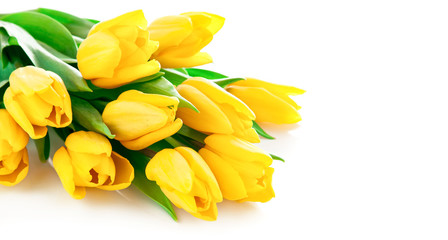 yellow tulip flowers bouquet isolated on white background