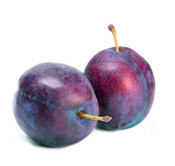 Obraz premium Ripe plum