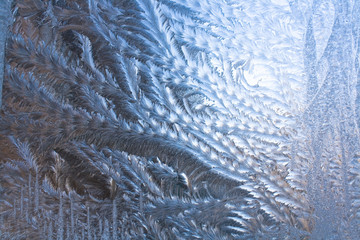 Ice pattern on a window in winter