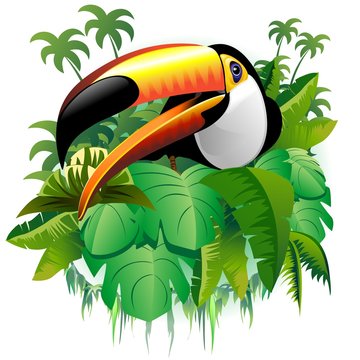 Tucano Vegetazione Tropicale-Toucan on Tropical Plants-Vector