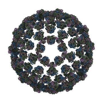 Bluetongue Virus (BTV)
