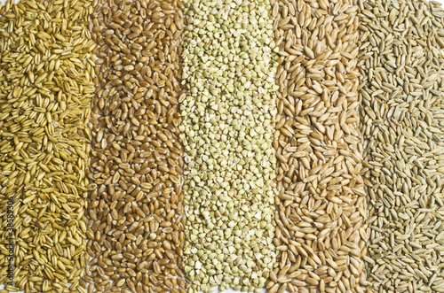 Gesunde Ernährung im Alltag: Tipps für mehr Wohlbefinden Gesunde Ernährung im Alltag: Tipps für mehr Wohlbefinden