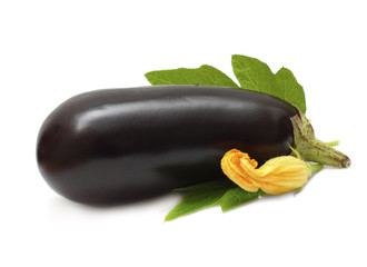 Eggplant isolated - vegetable on white