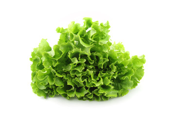 Salad isolated