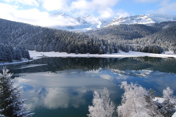 Reflets givr&eacute;s