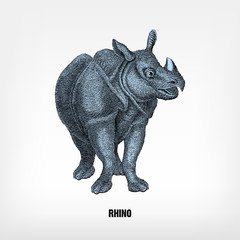 Engraving vintage Rhino.