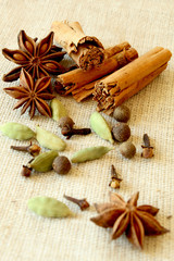 Star anise, cinnamon sticks, cloves, peper and cardamon