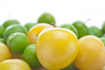 background of green and yellow plum