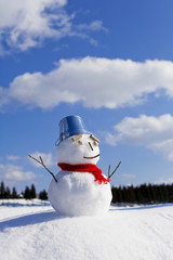 Obraz premium 雪だるま