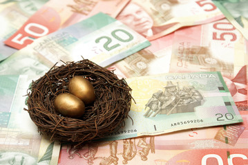 Wealthy Nest Egg