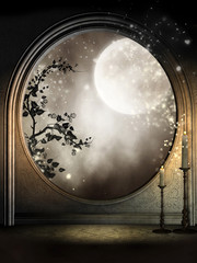 Okno fantasy z bluszczem i księżycem - obrazy, fototapety, plakaty