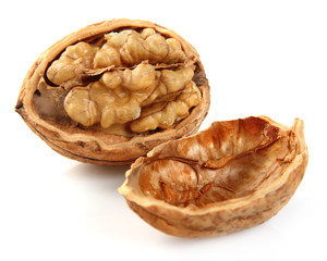 Walnut in closeup