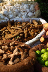 Various vegetables at vegetable market. India