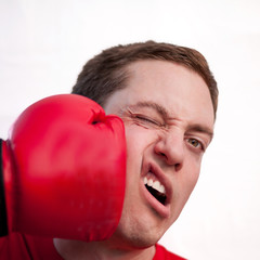Boxer