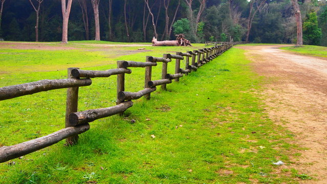 OLD WOODEN FENCE