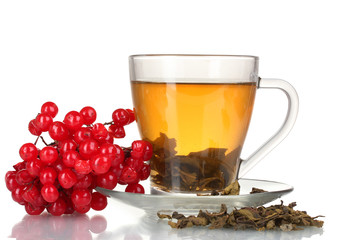 Green tea  with red viburnum in glass cup isolated on white