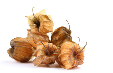 Physalis heap isolated on white