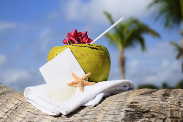Coconut cocktail starfish tropical Caribbean beach refreshment a
