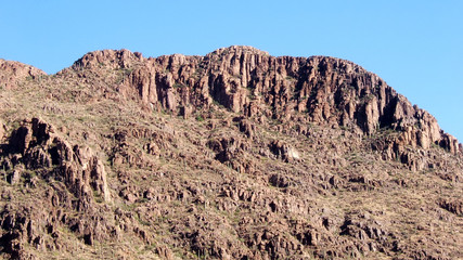 Saguaro National Park - Arizona - USA