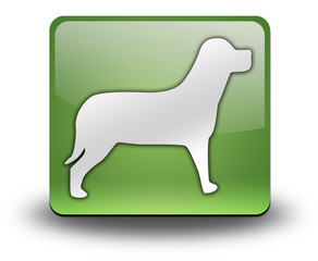 Green 3D Effect Icon 