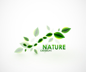 Nature leaves background