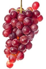 bunch of red grapes