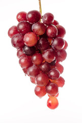 bunch of red grapes