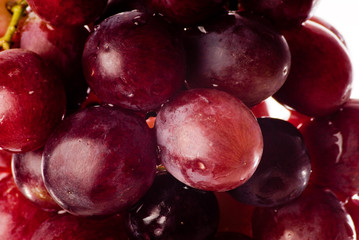 bunch of red grapes