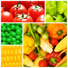 Set of various food items