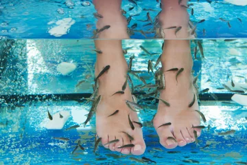 Fotobehang Fish spa in a beautiful blue water © Meffista