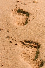 Footpath in the sand at the beach