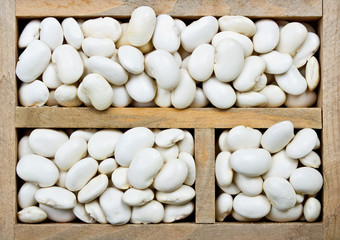 White kidney beans