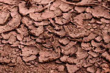 Dry soil closeup before rain