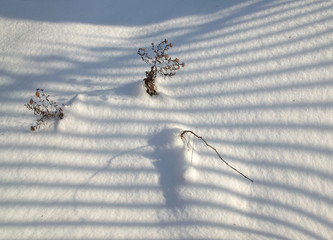 Light and shades on snow.