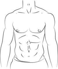Man torso abs