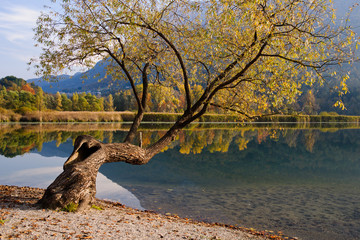 Lake Reflections