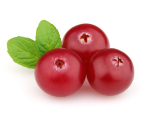 Cowberry with mint