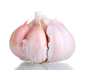 Garlic isolated on white