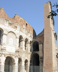 Colosseum, Rome