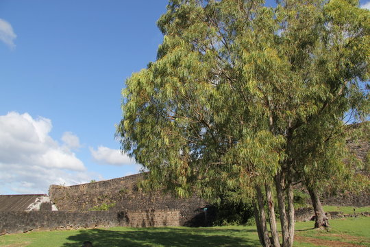 Guadeloupe - Fort Louis Delgres