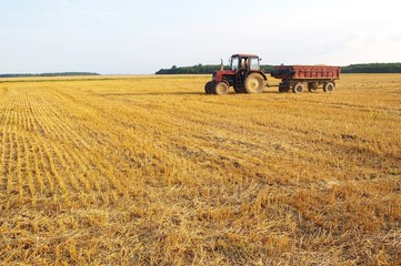 Tractor in  field