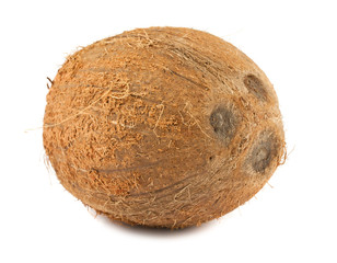 Ripe brown coconut
