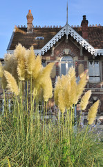 herbe de la pampa devant ancien pavillon